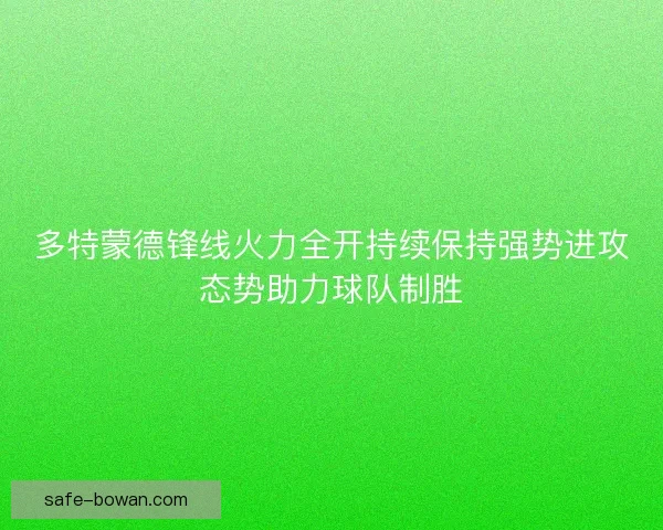 多特蒙德锋线火力全开持续保持强势进攻态势助力球队制胜